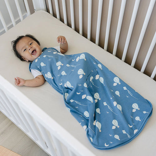 4 Season Ultimate Toddler Sleep Bag, Merino Wool & Organic Cotton, 2 - 4 Years, Hot Air Balloon