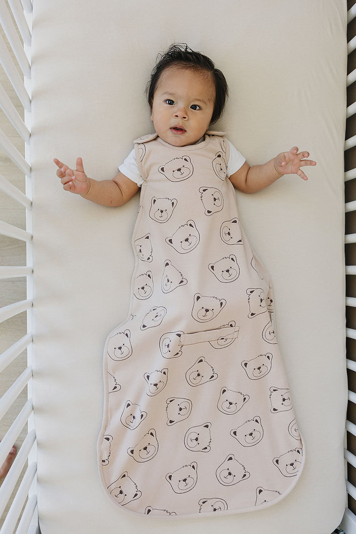 4 Season Ultimate Toddler Sleep Bag, Merino Wool & Organic Cotton, 2 - 4 Years, Teddy Bear