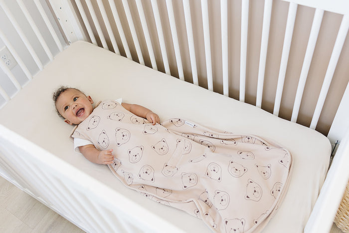4 Season Ultimate Toddler Sleep Bag, Merino Wool & Organic Cotton, 2 - 4 Years, Teddy Bear