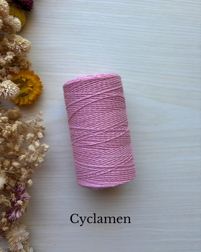 Cyclamen