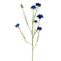 CORNFLOWER D/BLUE 90CM Deventor
