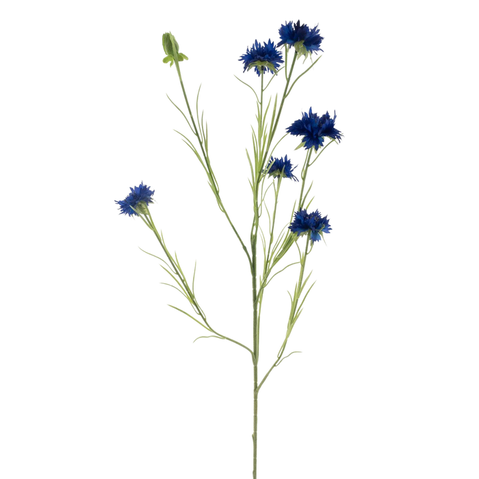CORNFLOWER D/BLUE 90CM Deventor