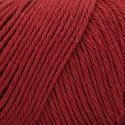 Salmon Berry