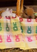 Fluffy Tailed Bunnies Towels