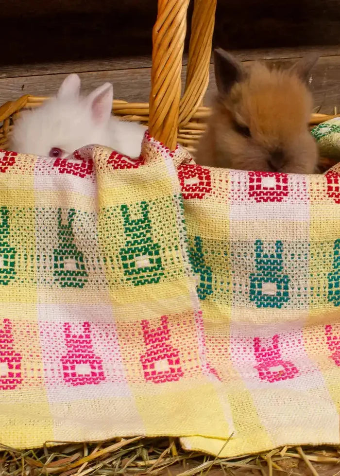 Fluffy Tailed Bunnies Towels