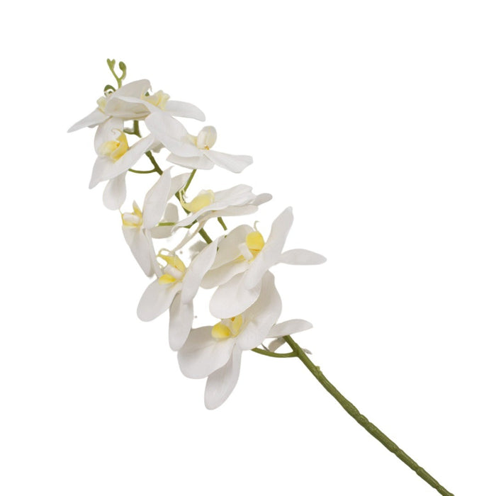 ORCHID 100CM Deventor
