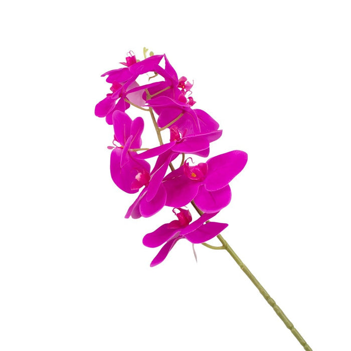 ORCHID 100CM Deventor