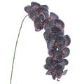 PHALAENOPSIS PURPLE 111CM Deventor
