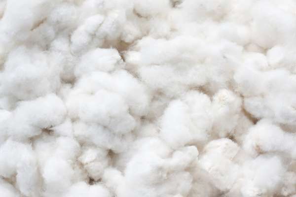 Pima Long Staple Ginned Cotton