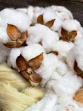 The Joy of Spinning Cotton 6-Month Club