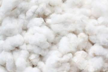 The Joy of Spinning Cotton 6-Month Club