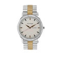 Titan 1650BM01 Two-Tone Stainless Steel Band Round Analog Watch for Men - Silver and Gold, bracelet