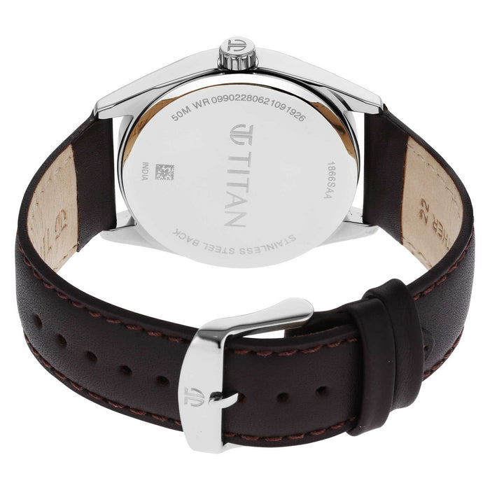 Titan Analog Brown Dial Men's Watch-NP1866SL02/NP1866SL02