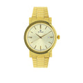 Titan Analog Gold Dial Men's Watch-NL1712YM03/NR1712YM03, Golden, free size, Analog Watch