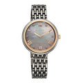 Titan Aura Quartz Analog Titanium Mother of Pearl Dial Titanium Stainless Steel Strap Watch for Women 95243KM01