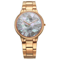 Titan Edge Metal Ladies Allure Quartz Analog Rich Mother Of Pearl Dial Stainless Steel Strap Watch For Women 2734WM02