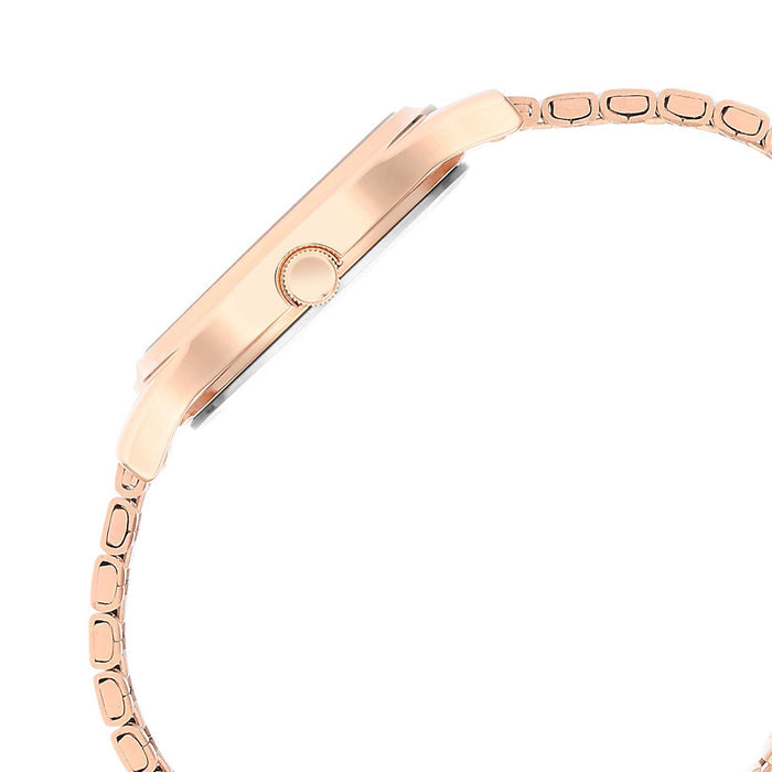 Titan Karishma Brown Dial Metal Strap Watch for Women