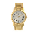 Titan Karishma Watch for Men 1647YM01, Yellow, bracelet