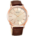 Titan Men's Analog Rose Gold Dial Watch-NP1825WL02/NP1825WL02, Rose Gold, strap