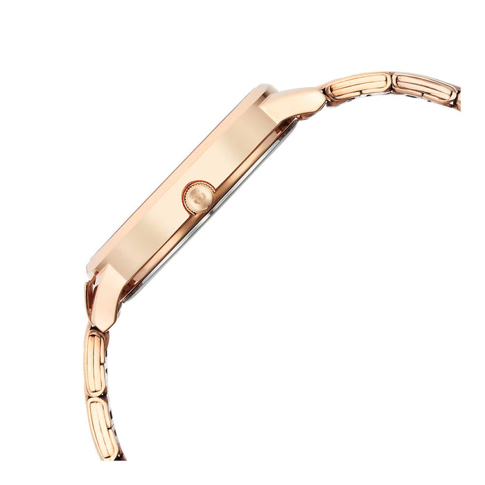 Titan Quartz Analog Rose Gold Dial Watch for Women 2648WM04