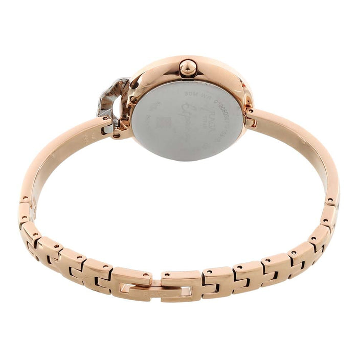 Titan Raga Espana Flemenco by Titan Rose Gold Dial Analog Watch for Women 95051KM03