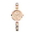 Titan Watch for Women, Quartz Movement, Analog Display, Rose Gold Metal Strap-NR2606WM01