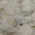 Upland Ginned Cotton