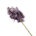 VANDA ARIADNE 73CM Deventor