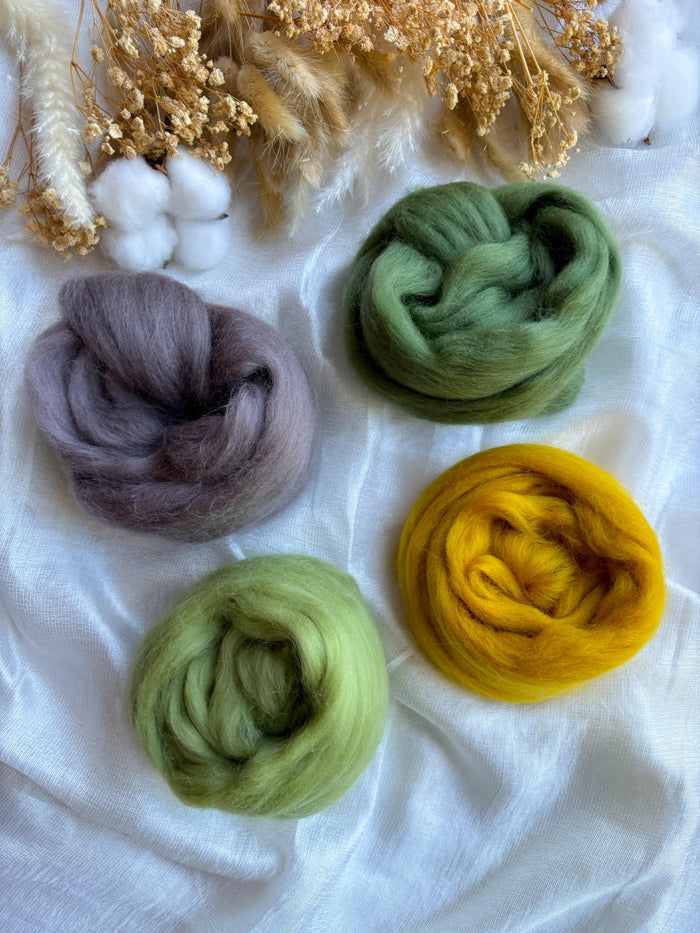 Wool Roving Bundle 1